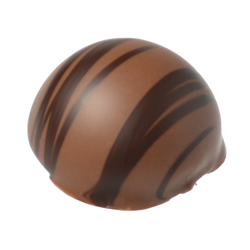  Damon Hazelnut  